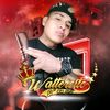 waltercito.vargas