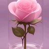 user3835108023450
