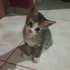 noor.aliyaa