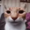 thelegofan13