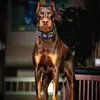 dobermanhp