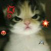 pincessfans_8786_
