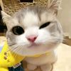 chen_3401