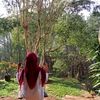 syah_aja4