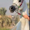 userbaryegt63u