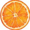 mandarin709