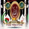ahmedzahir538
