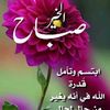 user18500088450