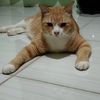 yun_26yun