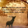 username643948