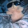 taj_453