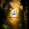 user3403806155441