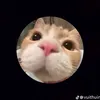 mimimbi_aiosima0