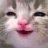 mmm_7898