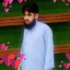 shireenjan138