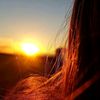 agayeva__555