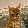 cutiepiepie572