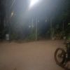 gamalinho