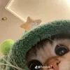 codeboyi