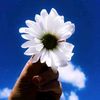 user4782306103006