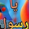 user5557013428304
