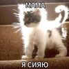 mil_ka900