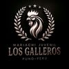 mariachilosgallerospuno