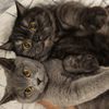 mimi.und.nala