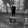 they_all.fw810scamz