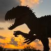 indomzilla