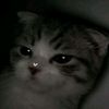 ecem_58a