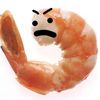 Shrimpy
