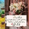 user554811060