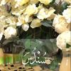 shaima_alshaib1