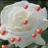 am_2_n_a