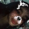 vale.__25011