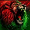 rachid.wahidi10