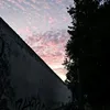 ian_wtl