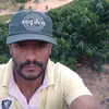 liceualves