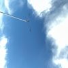 mike_5353