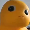 disjkdsi
