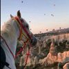 ryof_05400