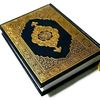 habu_dan_sunnah