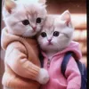 tinnhu83