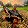 sapibali272
