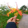 sinha_2345