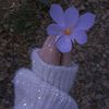 nazmeen_ghull_01