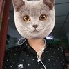 sawchitlwin90