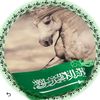ssmm_11887