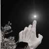 bedo_871